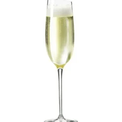 Champagneglas-Eva Solo champagneglas, 1-pack