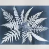 Fern star poster, 40x50 cm^Fine Little Day Discount
