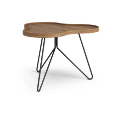 Flower mono bord Special Edition 62x66 cm, H45 cm-lackad valnöt-svartlackerat stål^Swedese