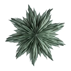 Helena adventsstjärna Ø44 cm, Green^Watt & Veke New