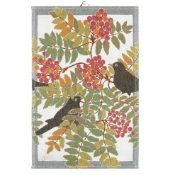 Kökshanddukar|Kökshanddukar-Ekelund Linneväveri Koltrast kökshandduk, 40x60 cm