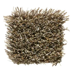 Runda Mattor-Kasthall Moss matta rund Ø240 cm, Beige-grey 800