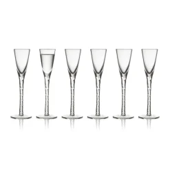 Snapsglas-Lyngby Glas Paris snapsglas 2,5 cl 6-pack, Klar