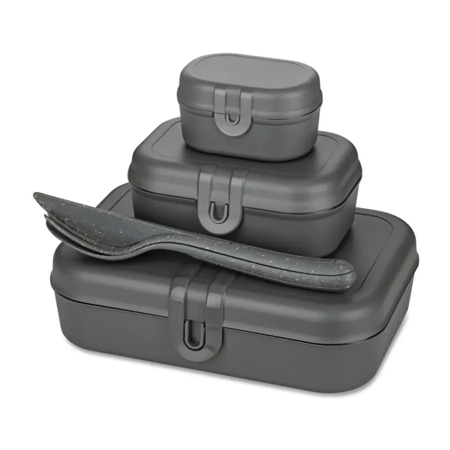 Pascal Ready Set 3x lunchlåda och bestick, Nature ash grey^Koziol