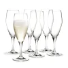 Champagneglas-Holmegaard Perfection champagneglas 23 cl 6-pack, Klar