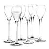 Snapsglas-Holmegaard Perfection snapsglas 5,5 cl 6-pack, Klar