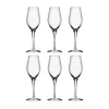 Champagneglas-Orrefors Sense champagneglas 25,5 cl 6-pack, Klar