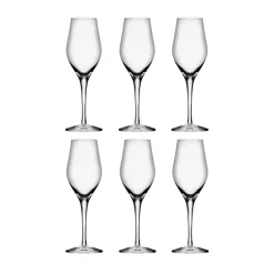 Champagneglas-Orrefors Sense champagneglas 25,5 cl 6-pack, Klar