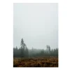 Posters-Fine Little Day Skog poster, 70 x 100 cm