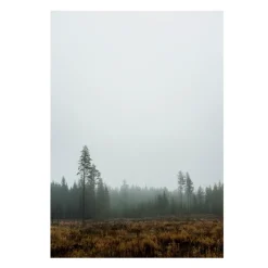 Posters-Fine Little Day Skog poster, 70 x 100 cm