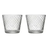Tundra dricksglas 29 cl 2-pack, Klar^Iittala Outlet